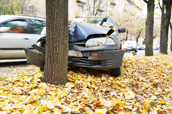 car crashes to a tree